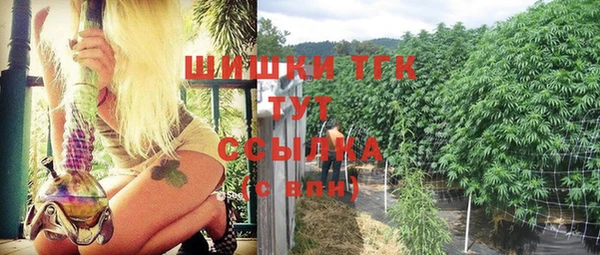 прущие грибы Алзамай