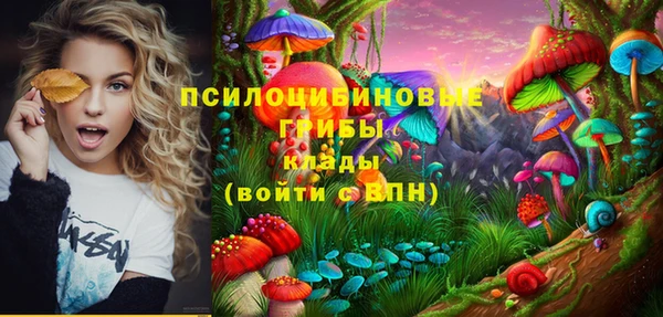 ПСИЛОЦИБИНОВЫЕ ГРИБЫ Алексин