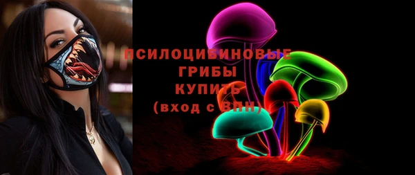 прущие грибы Алзамай