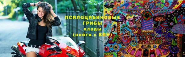 прущие грибы Алзамай
